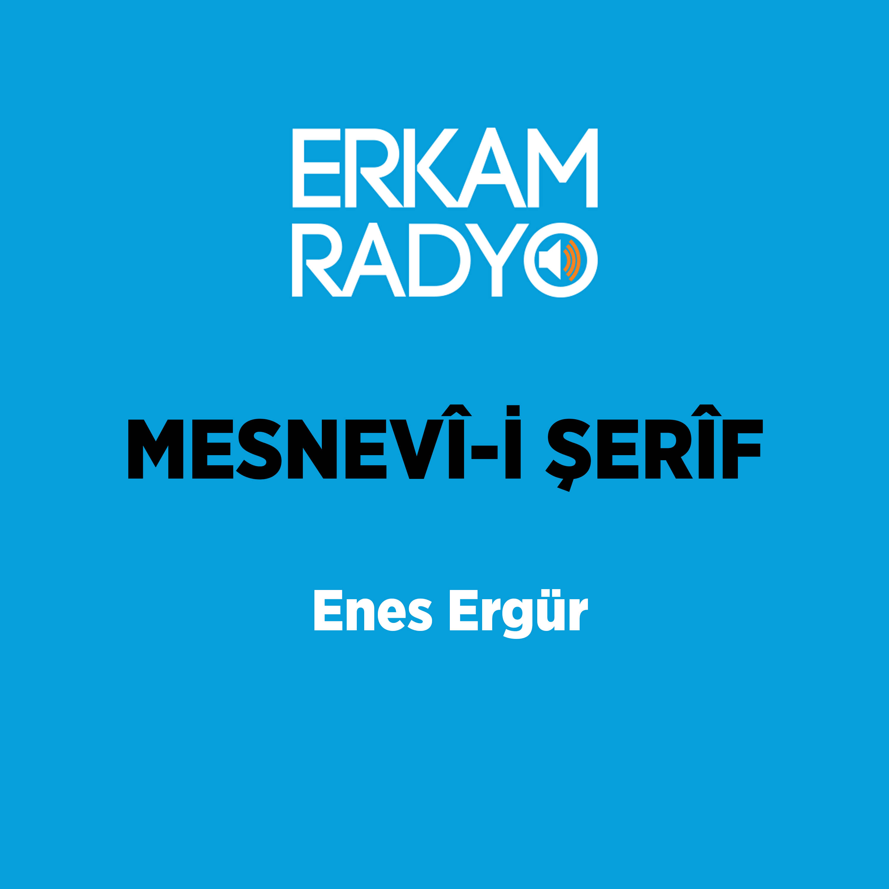 MESNEVÎ-İ ŞERÎF